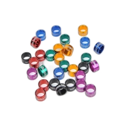 Bağdadi Güvercini Bilezigi 30 Adet